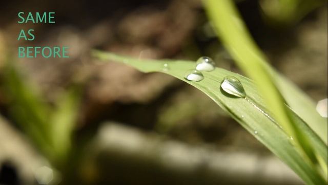 Nikon D3500 Sample Images | Shooting Amazing Photos With Nikon D3500 | Nikon D3500 Photo Review