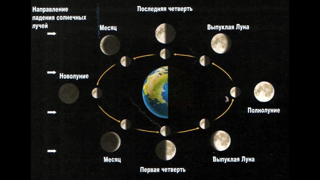 Полнолуние и новолуние: как создается настроение дня от маэстро мажор. Часть 2 смотреть онлайн