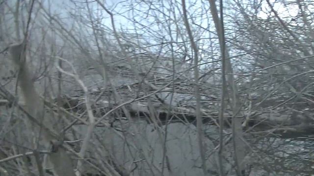 Лучшее время для ДОННОЙ РЫБАЛКИ ,на червя смотреть онлайн