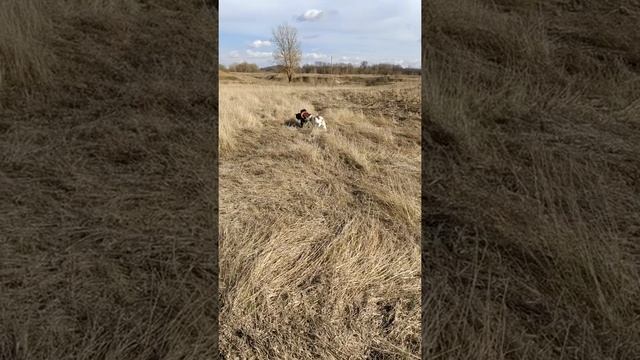 Как на сеновале смотреть онлайн
