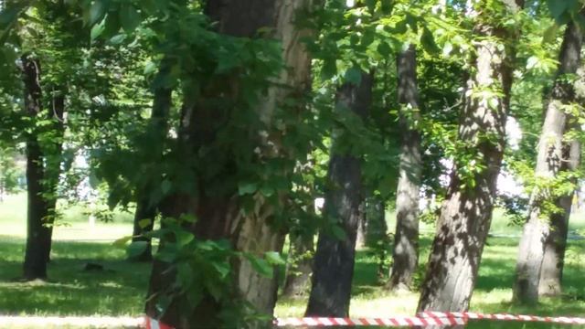 Детская велогонка. 2 часть смотреть онлайн