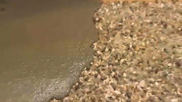 Emaco Formula Reodinamico M1 смотреть онлайн