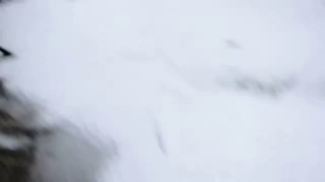 Территория Военного городка 17 (№ 1) г. Новосибирск под управлением ОАО Славянка смотреть онлайн