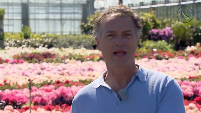 Rhododendron: een kleurrijke haagplant | Jurgen Smit legt uit | Haagplant.net смотреть онлайн