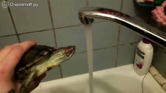 Взять струю, взять! смотреть онлайн