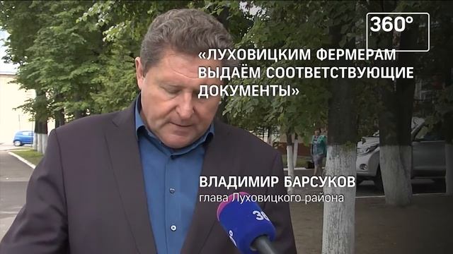 25.06.2017 В продажу поступили Луховицкие огурцы (360°)