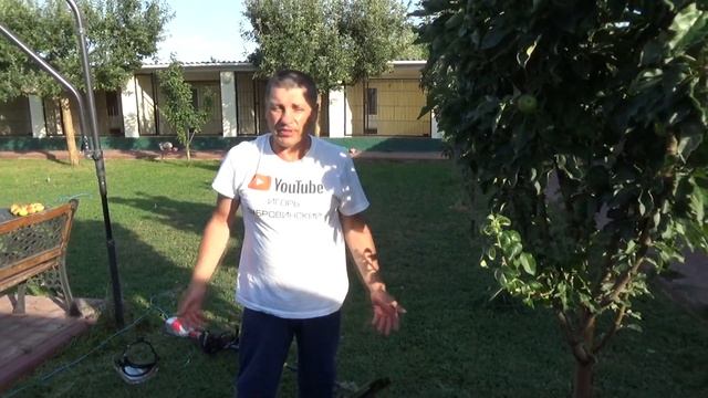 Травяной газон головная боль смотреть онлайн