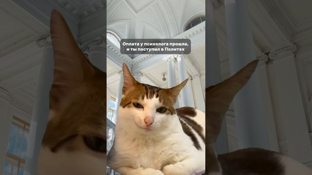 Одно слово, а столько эмоций смотреть онлайн
