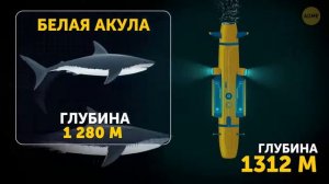 Что обитает на дне океана 10000 метров!