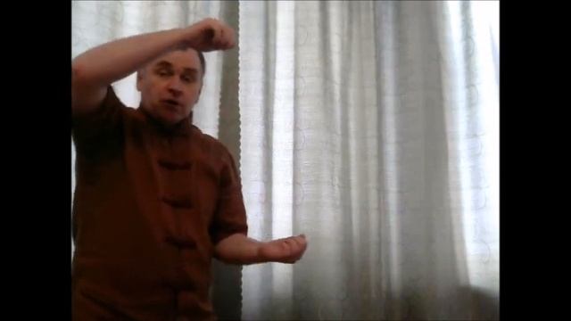 Владимир Амида: Методы наработки ладони льва / шицзы чжан сюйлянь гунфа / 狮子掌 训练 功法 (13) смотреть онлайн