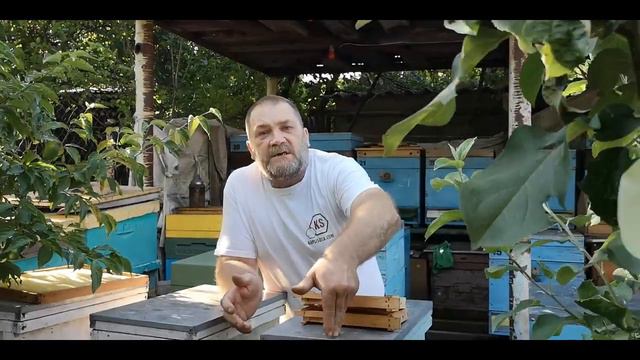 Какой нуклеус лучше? Что же выбрать?