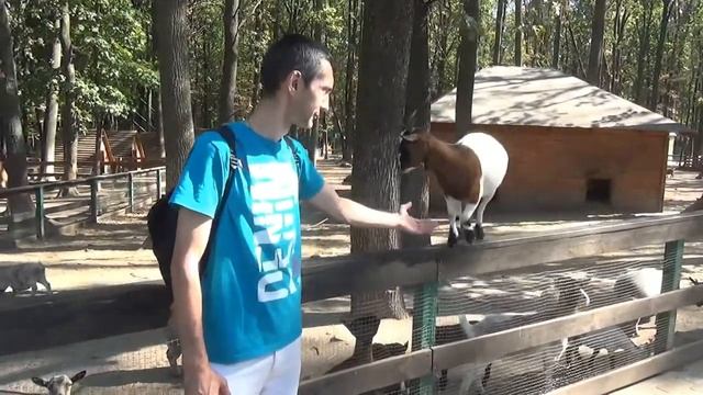 Путешествие с Семьей На МОСКВИЧЕ смотреть онлайн