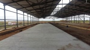 Проект коровника на 200 голов