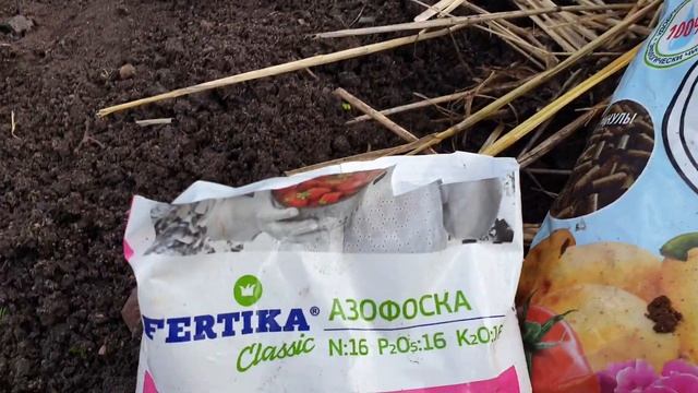 Жимолость. Дайте Весной эту подкормку. Урожай удивит. смотреть онлайн
