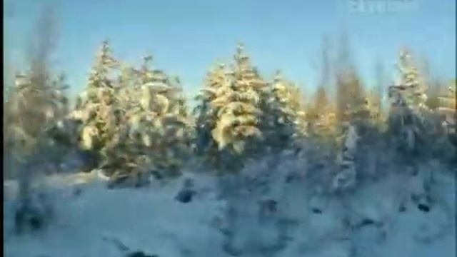 В плисках приключений Финляндия смотреть онлайн