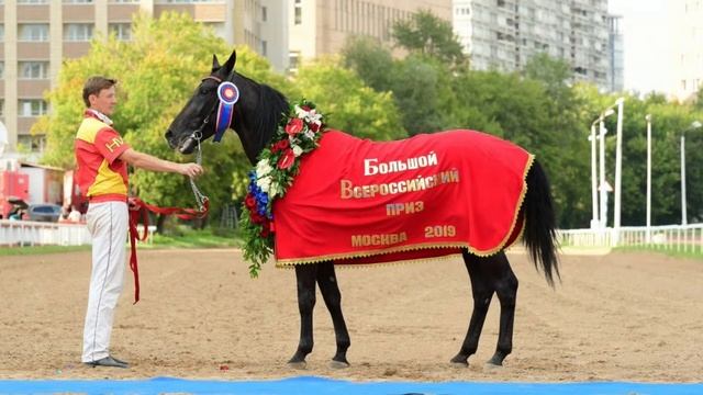 Беговой день # 25 29.10.2023 смотреть онлайн