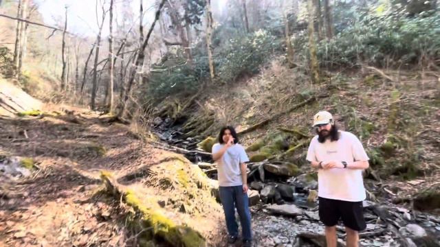 Gatlinburg/Smoky Mountains Vlog! смотреть онлайн