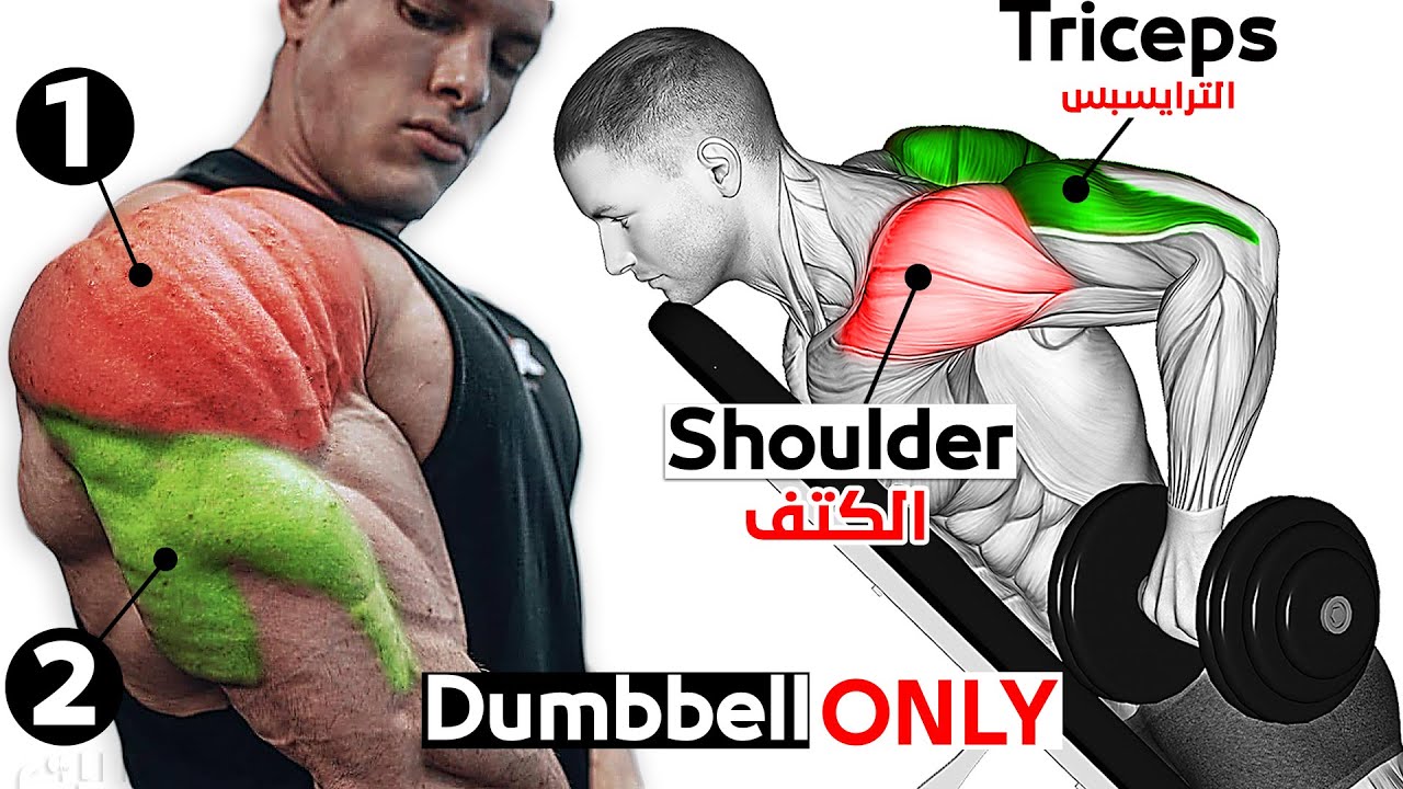 10 ЛУЧШИХ ТРЕНИРОВОК ПЛЕЧ И ТРИЦЕПСОВ С ГАНТЕЛЯМИ смотреть онлайн