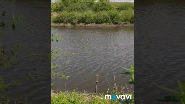 Рыбалка на "белом озере" смотреть онлайн