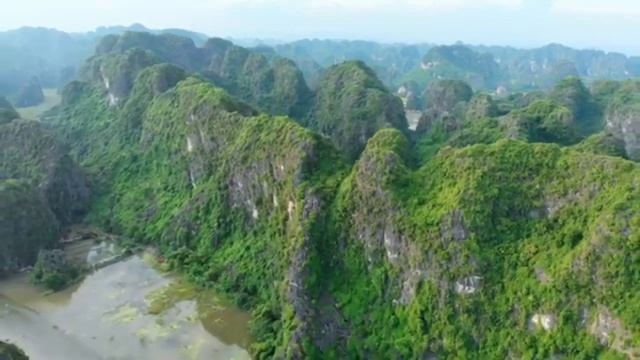 Новая реальность это период для своего индивидуального пути смотреть онлайн