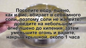 КАК СВАРИТЬ РАССЫПЧАТУЮ ПШЕННУЮ КАШУ? Вкусная и простая рассыпчатая каша из пшена на воде