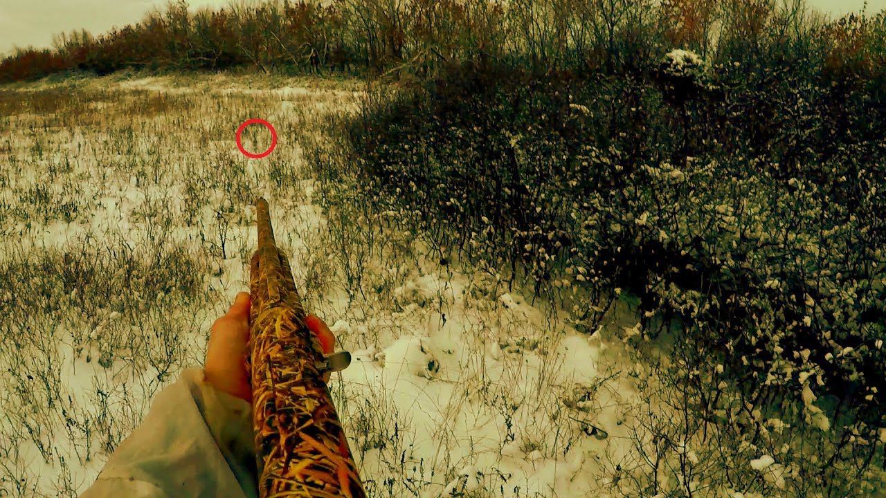 НЕОБЫЧНАЯ ОХОТА!!!ДВА ЗАЙЦА НА 10 МЕТРАХ!!! ОХОТА НА ЗАЙЦЕВ 2020 / MAX HUNTER смотреть онлайн