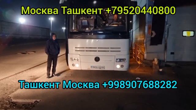 Россиядан Узбекистонга мошинада кетиш Москва Ташкент такси автобус катнови #москваташкент смотреть онлайн