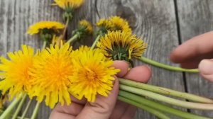 плетение венка из одуванчиков. красиво и просто