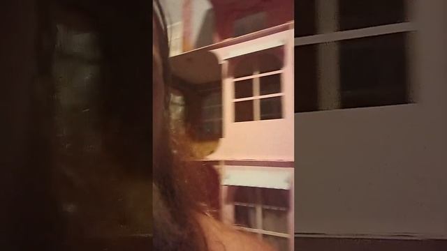 Тепляковым дали ДОМ. Часть два.