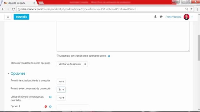 Curso de Moodle avanzado La consulta смотреть онлайн