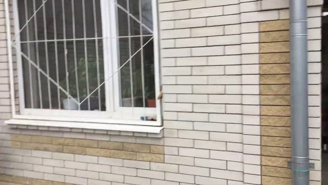 ПТИЦЫ! Цыплятам месяц! Куры, Утки. смотреть онлайн