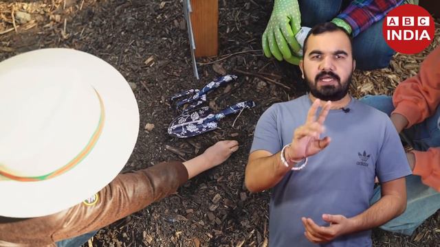 Brussel Sprouts Farming | छोटी गोभी | Tiny Cabbage farming | Export This Vegetable | विदेशी गोभी смотреть онлайн