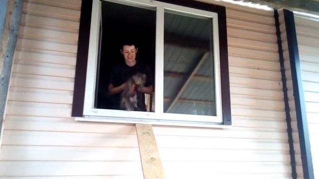 Вольер для кошек. Первопроходцы смотреть онлайн