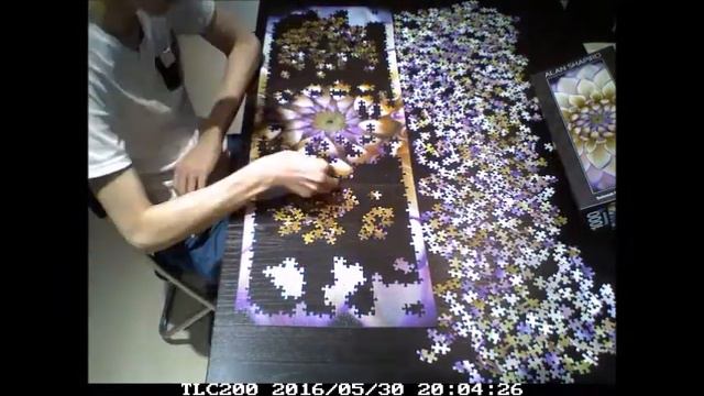 Schmidt puzzle 1000pcs time lapse ~ White dahlia смотреть онлайн