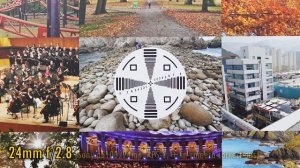 Sony FE 24-50mm f/2.8 'G' lens review