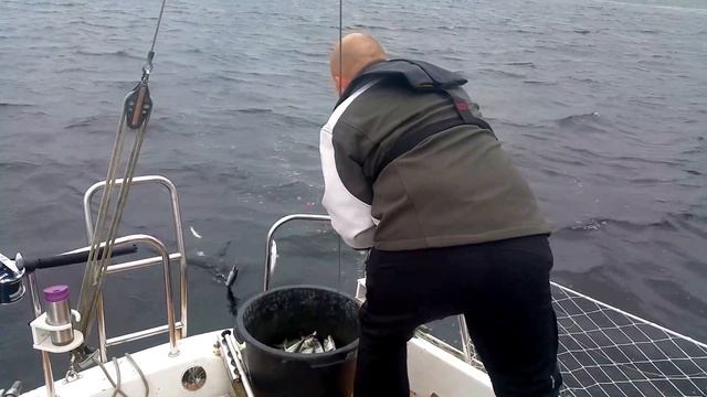 Рыбалка на скумбрию в Норвегии (Fisken biter) смотреть онлайн