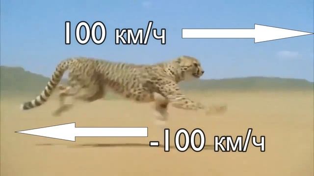 Соединение как у Владимира Сидоренко смотреть онлайн