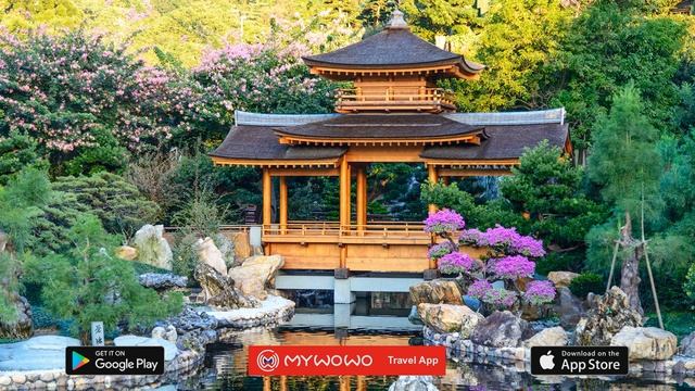 Монастырь Чи Линь – Посещение – Гонконг – Аудиогид – MyWoWo Travel App смотреть онлайн