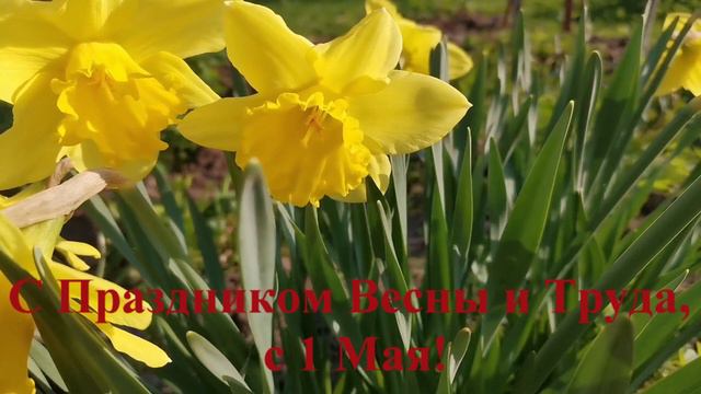 С Праздником Весны и Труда, с 1 Мая. смотреть онлайн