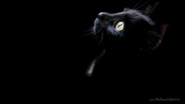 Фото опять как в коментах писали:::::??? смотреть онлайн