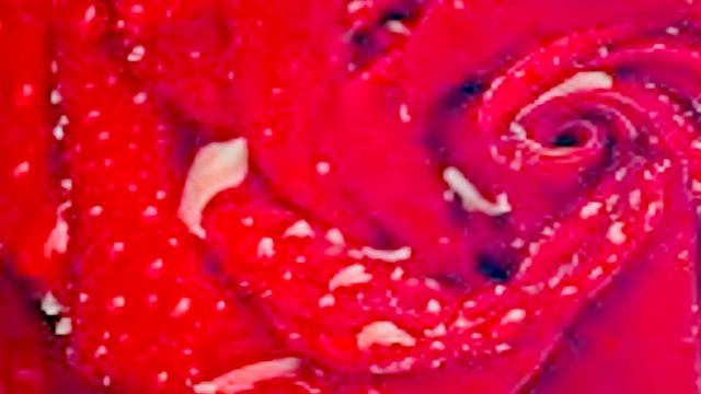 С Днем Рождения Света!!!!! смотреть онлайн