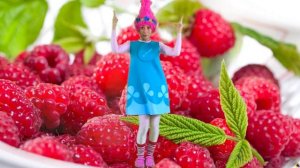 Хабиб. Ягодка малинка. Песни для детских праздников