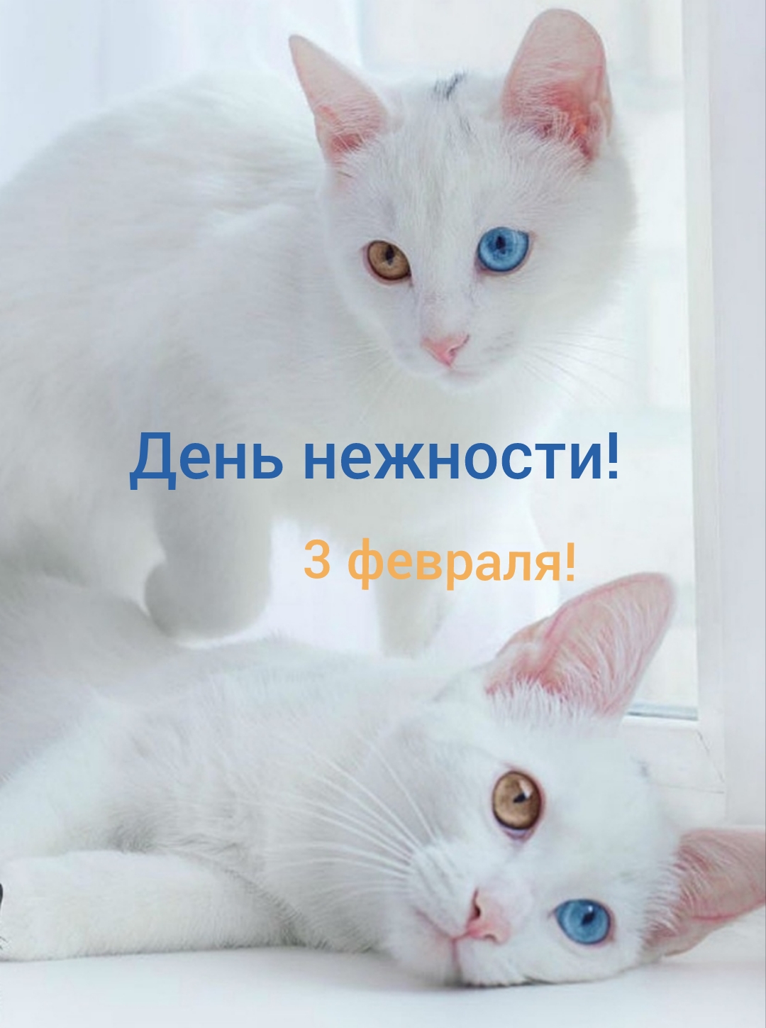 День нежности-3 февраля! смотреть онлайн