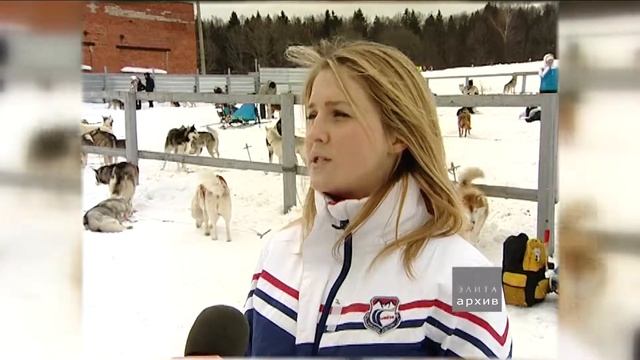 Главное в езде на собаках – темперамент и кураж смотреть онлайн