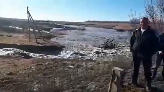 Воронежская область Анна. смотреть онлайн