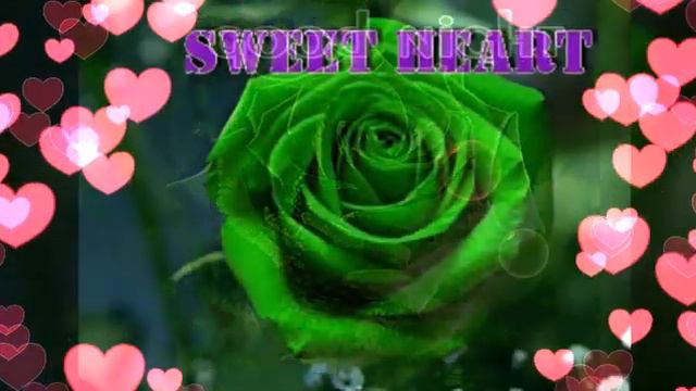 Good night green rose video HD - good night WhatsApp status video HD смотреть онлайн