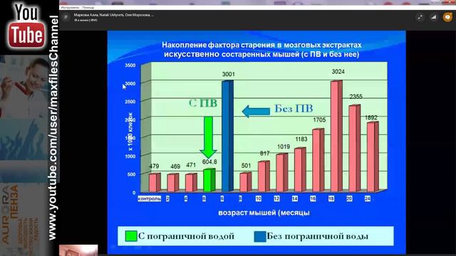 Ирина чих вебинар о пограничной воде 13 02 2018 смотреть онлайн