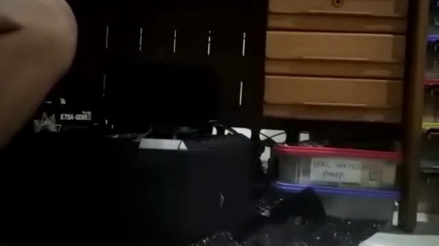 736787498 toped msi x79a gd45 + i7 3960x mobo tdk bisa nyala смотреть онлайн