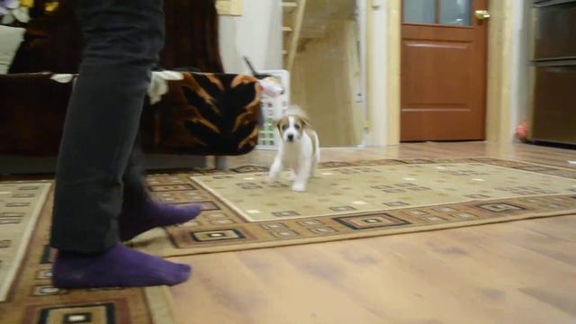 Декупаж 2 м. смотреть онлайн