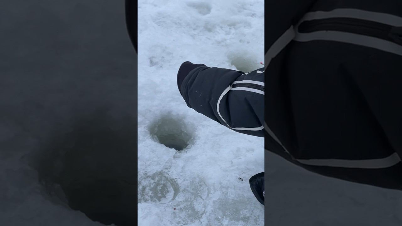 Плотва как домой собираешься #рыбалкакстово #первыйлёд #плотва #зимняяудочка смотреть онлайн